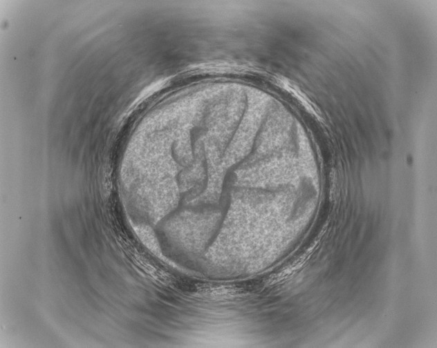 X0000086981213200705141707