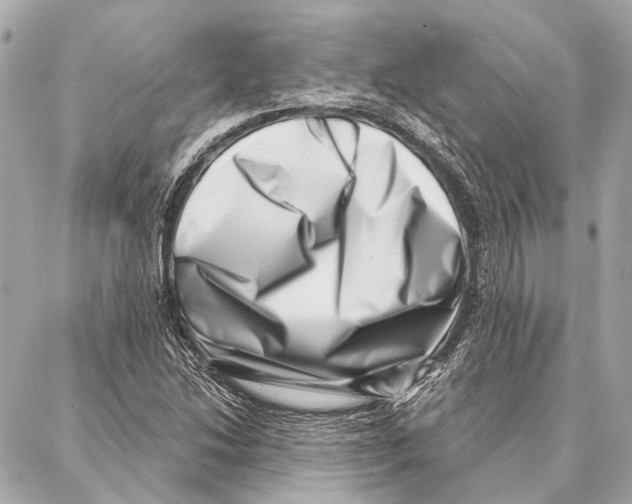 X0000086981214200705141707