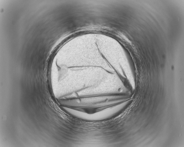 X0000086981216200705141707