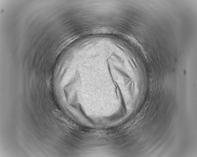 X0000086981217200705141707