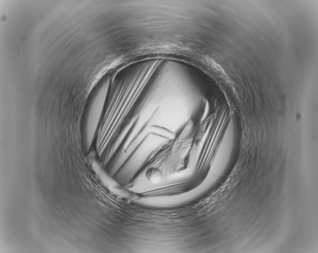 X0000086981218200705141707