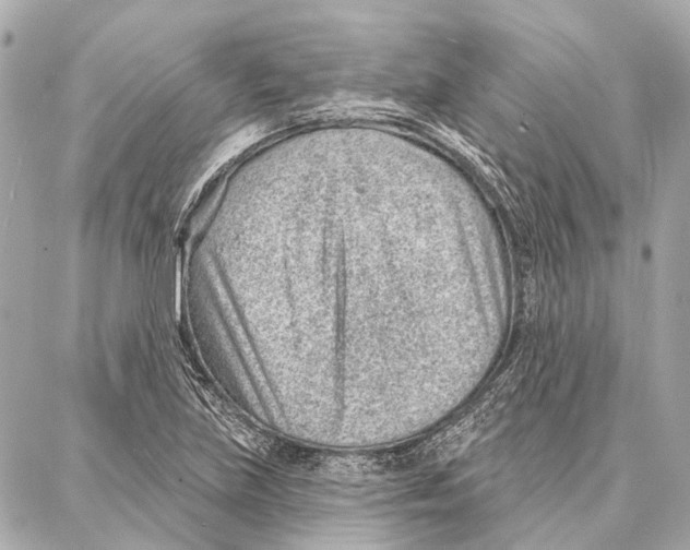 X0000086981219200705141707