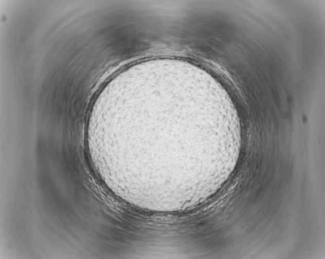 X0000086981220200705141707