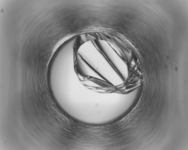 X0000086981222200705141707