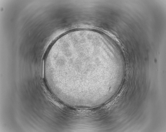 X0000086981223200705141707