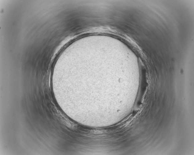 X0000086981224200705141707