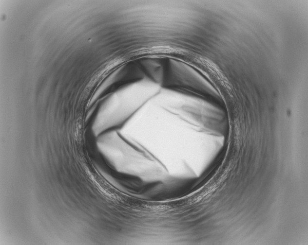 X0000086981225200705141707