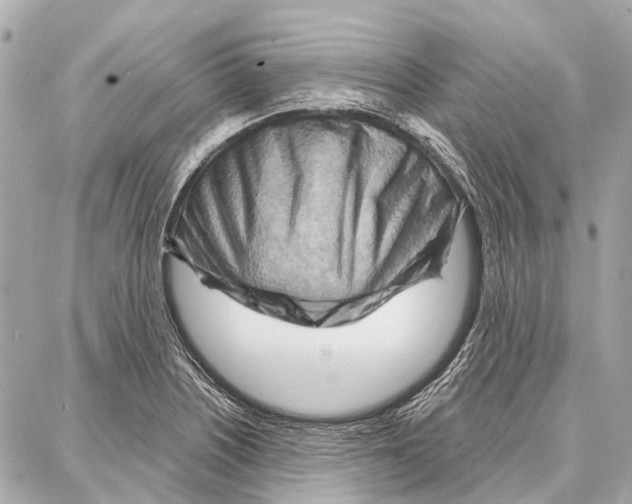 X0000086981226200705141707