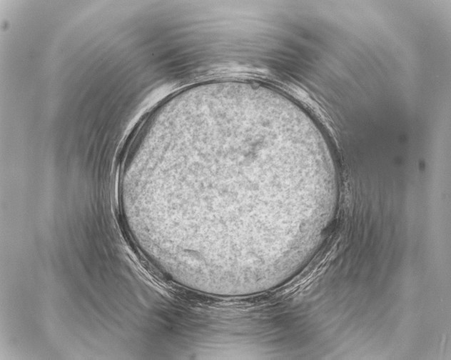 X0000086981227200705141707