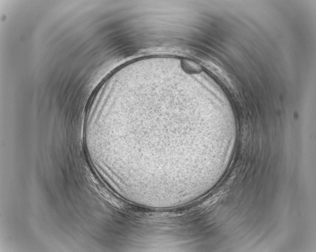 X0000086981228200705141708