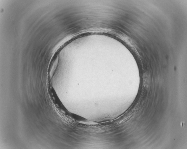 X0000086981229200705141708