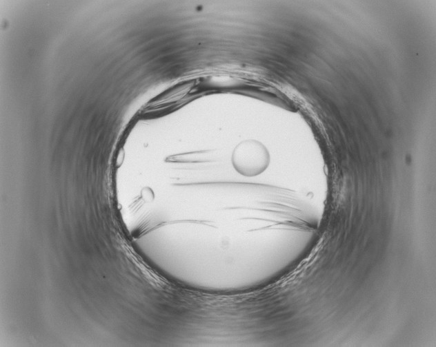 X0000086981230200705141708