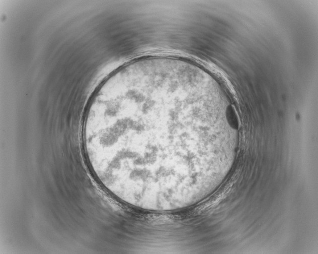 X0000086981231200705141708