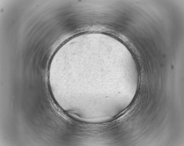 X0000086981232200705141708