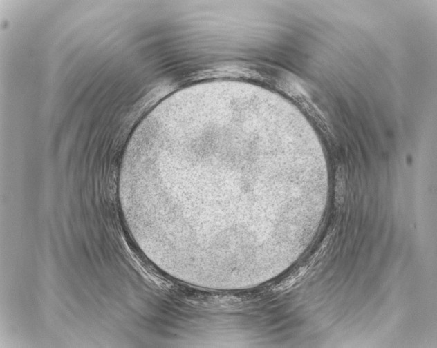 X0000086981233200705141708