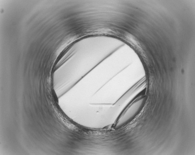 X0000086981234200705141708