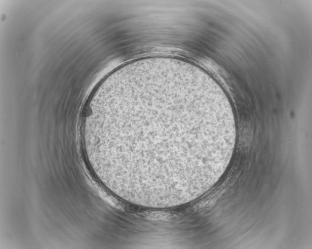 X0000086981235200705141708