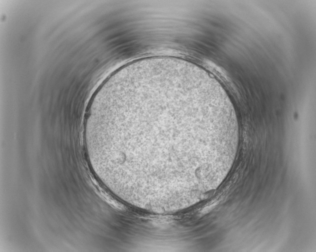 X0000086981236200705141708