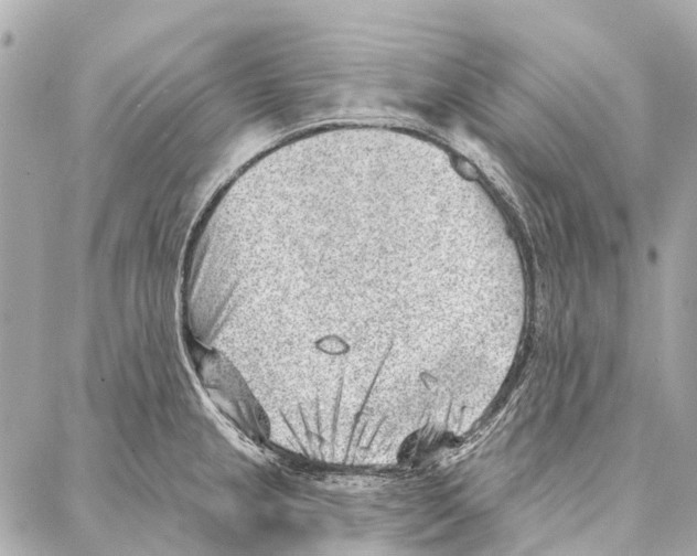 X0000086981237200705141708