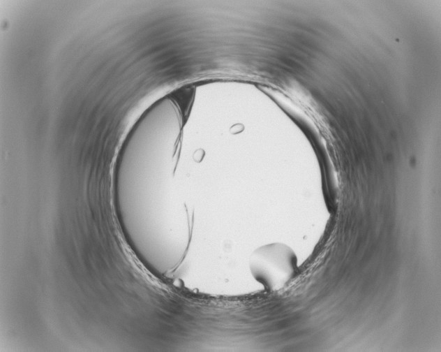 X0000086981238200705141708