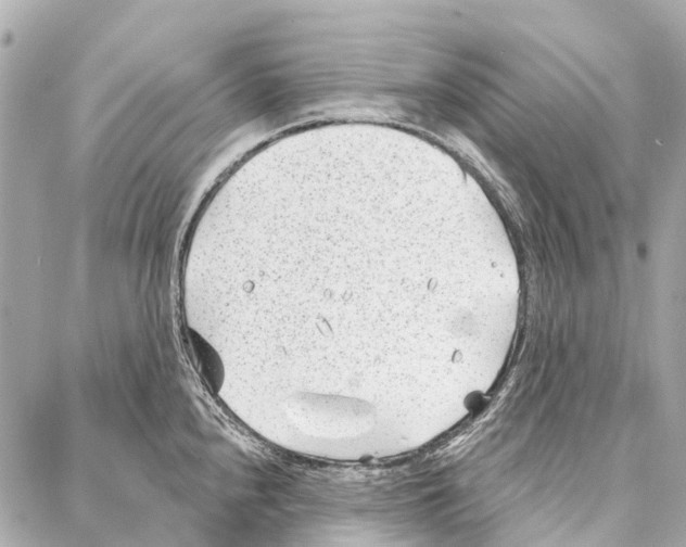 X0000086981240200705141708