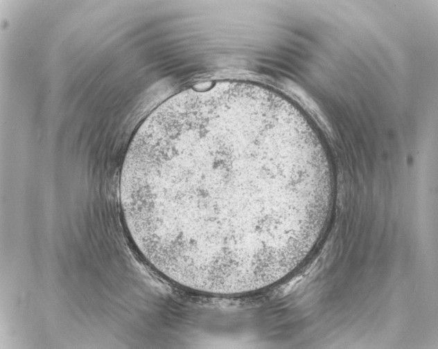 X0000086981241200705141708