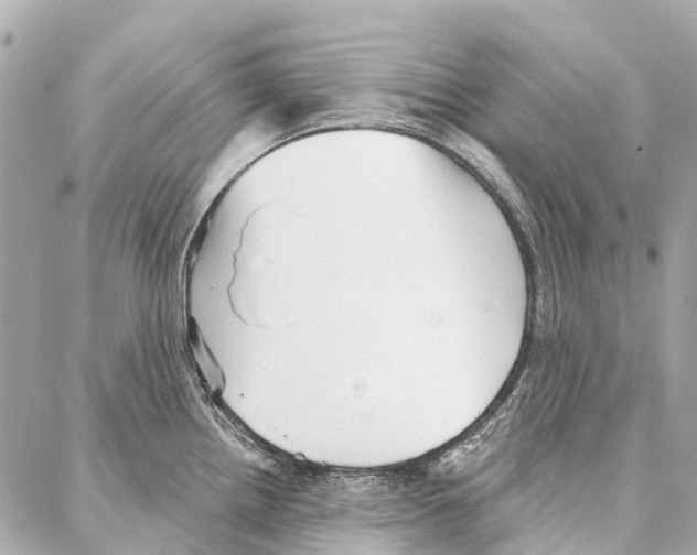 X0000086981242200705141708