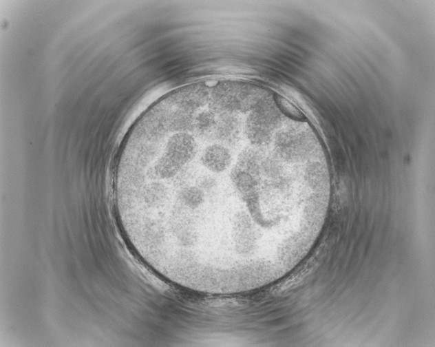 X0000086981243200705141708