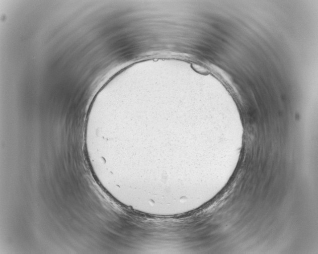 X0000086981244200705141708