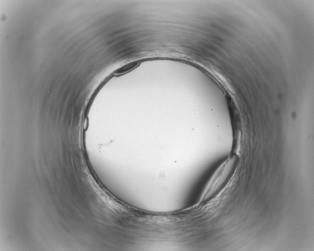 X0000086981246200705141708