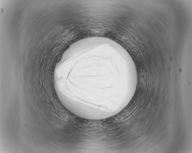 X0000086981249200705141707