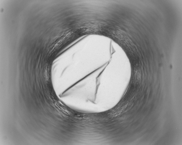 X0000086981250200705141707