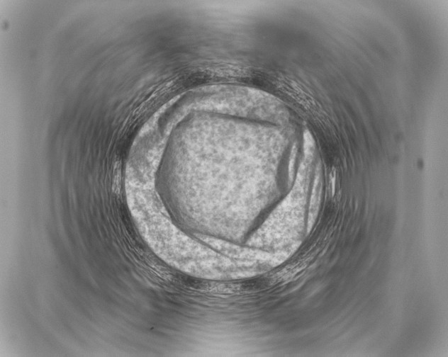 X0000086981251200705141707