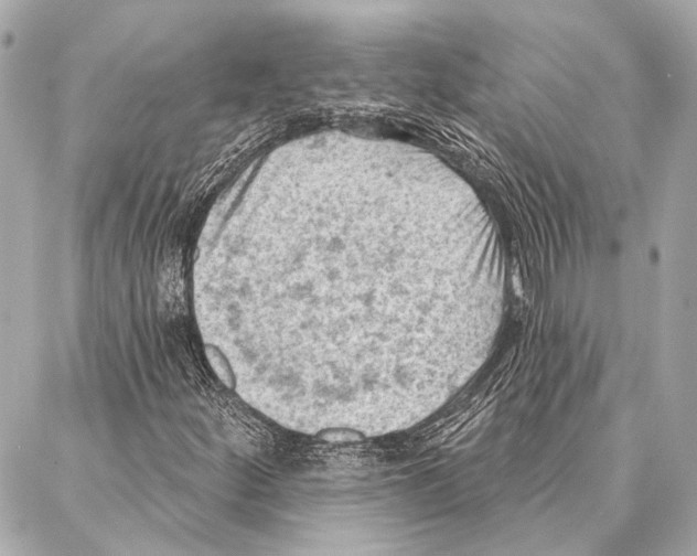 X0000086981252200705141707