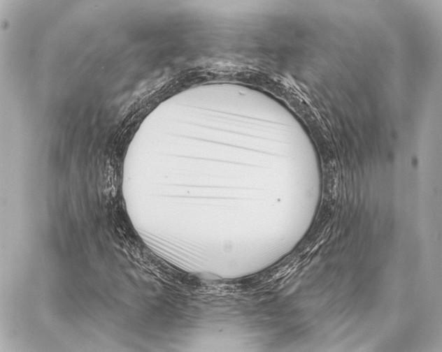 X0000086981253200705141707