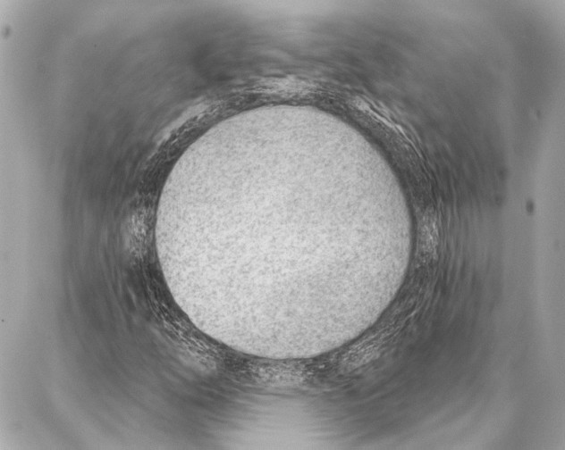 X0000086981254200705141707