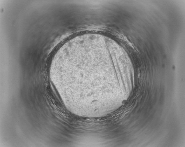 X0000086981256200705141707