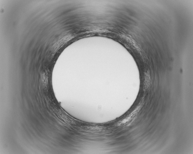 X0000086981257200705141707