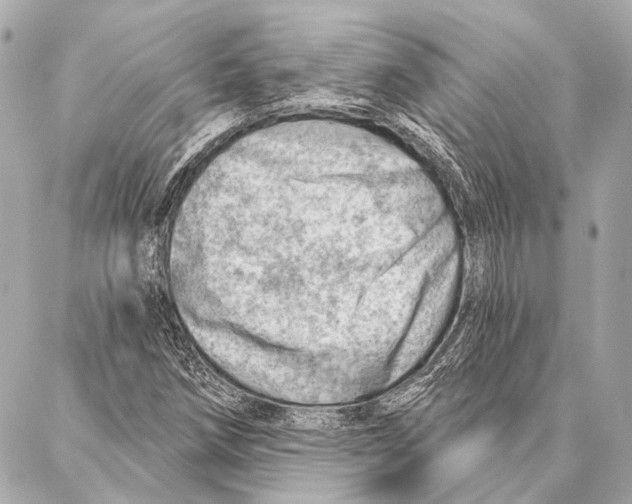 X0000086981258200705141707