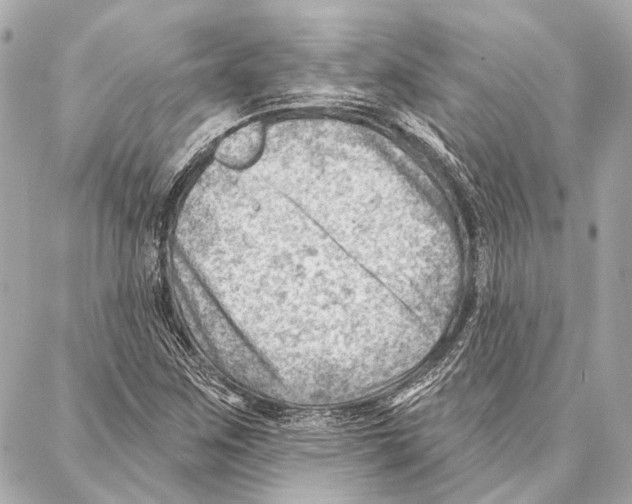 X0000086981259200705141707