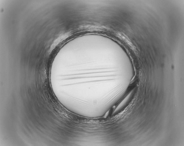 X0000086981261200705141707