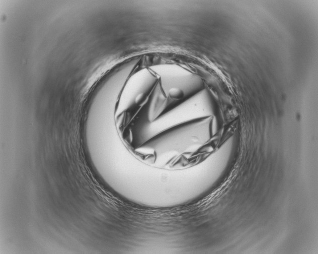 X0000086981263200705141707