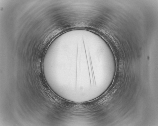 X0000086981265200705141707