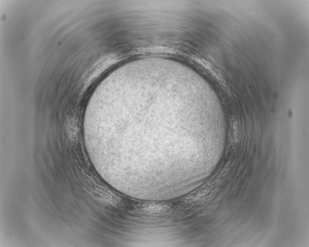 X0000086981266200705141707