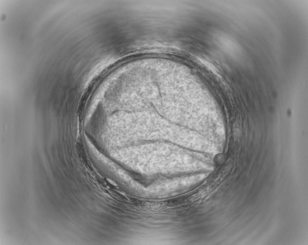 X0000086981267200705141707