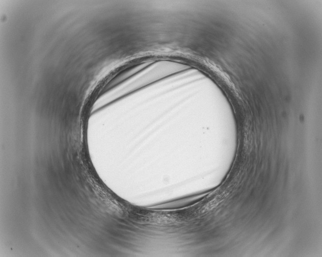 X0000086981270200705141707