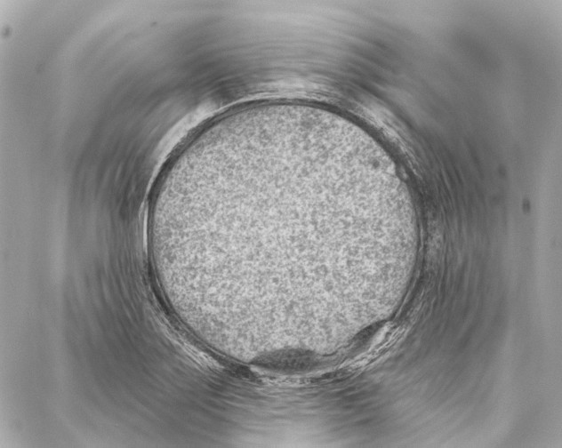 X0000086981275200705141707