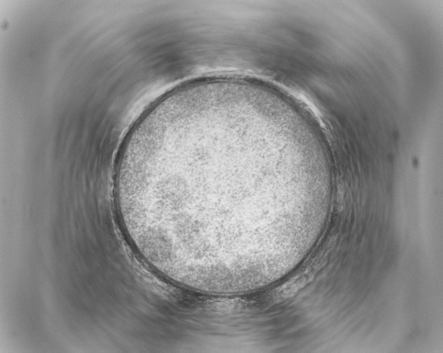 X0000086981279200705141707