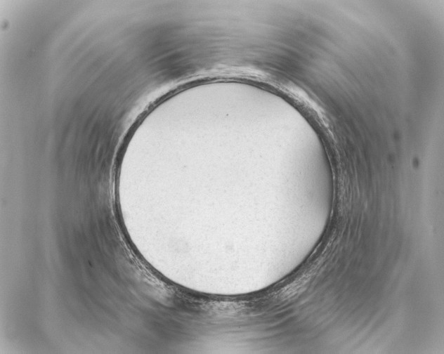 X0000086981280200705141707