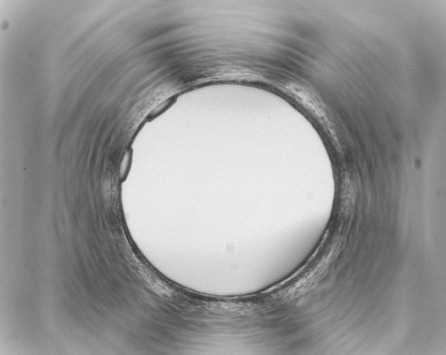 X0000086981281200705141707